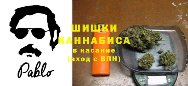 твердый Богородск