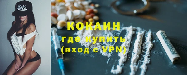 ешки Снежногорск