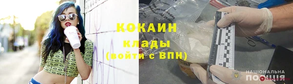 mdpv Богородицк