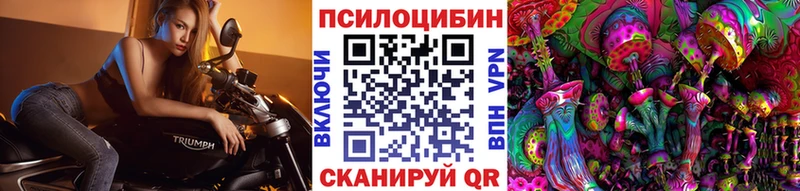 mega ONION  Навашино  Псилоцибиновые грибы Magic Shrooms 