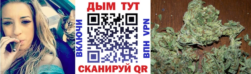 Марихуана план  где продают наркотики  дарк нет официальный сайт  Навашино 